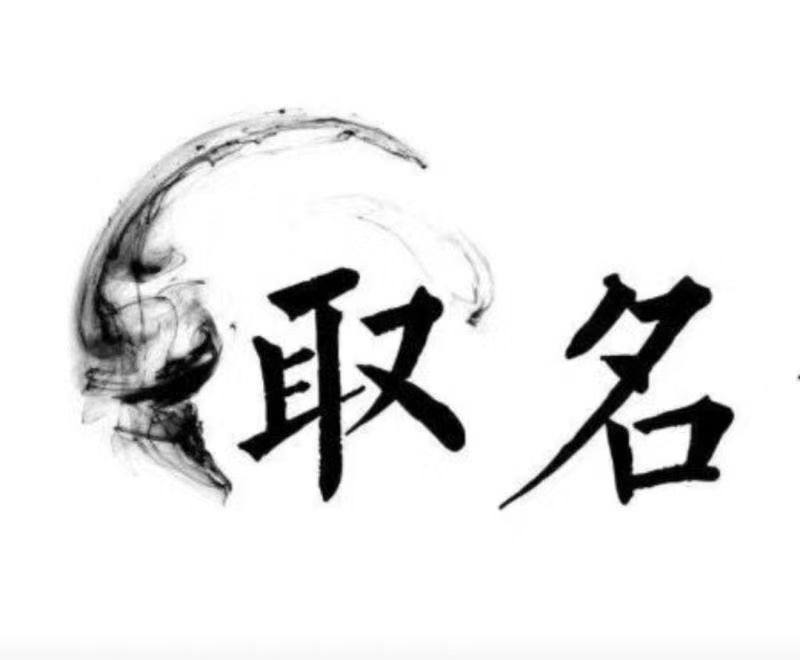  卧龙宝宝取名 大师一对一人工起名