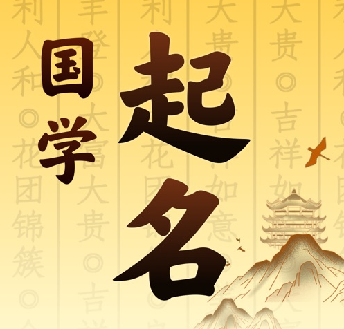 卧龙国学起名 人工起名一对一