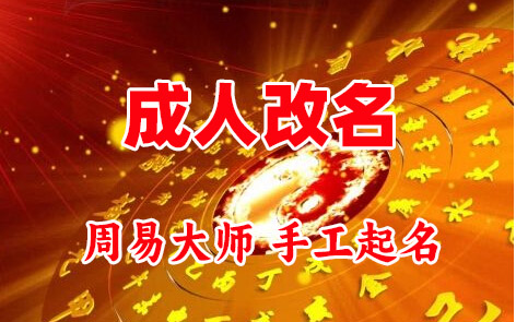 卧龙成人改名-找大师一对一改名先分析后改名